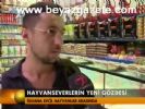 Hayvanseverlerin Yeni Gözdesi