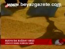 abd borsasi - Rusya'da Buğday Krizi Videosu