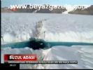 kuresel isinma - Buzul Adası Videosu