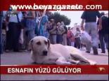 Ada'da Bayram