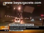 Ortalığı Birbirine Kattılar