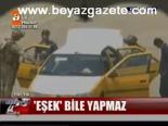 Eşek Bile Yapmaz