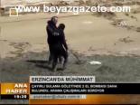 Erzincan'da Mühimmat