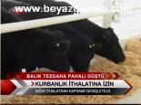 Kurbanlık İtalatına İzin