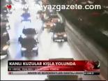 Kınalı Kuzular Kışla Yolunda