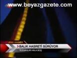 Balık Hasreti Sürüyor