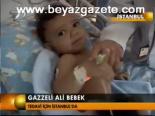 Gazzeli Ali Bebek