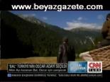 Bal Türkiye'nin Oscar Adayı Seçildi