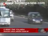 O Bebek Yine Yollarda