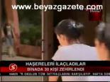 Haşereleri İlaçladılar