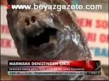 Marmara Denizi'nden Çıktı