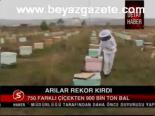 750 Farklı Çiçekten 900 Bin Ton Bal