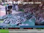Balık Fiyatları El Yakıyor