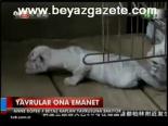 Yavrular Ona Emanet