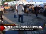 Canlı Kasaplık Sığır İhalesi