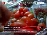 Domates Çıldırdı