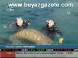 Kalkan Koyu Temizledi