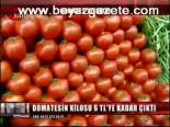 Domates Çıldırdı
