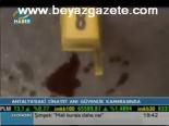 Antalya'daki Cinayet Anı Güvenlik Kamerasında