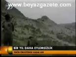 Bir Yıl Daha Eylemslsizlik