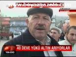40 Deve Yükü Altın Arıyorlar