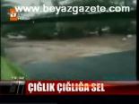 Çığlık Çığlığa Sel