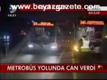 Metrobüs Yolunda Can Verdi