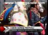 Deve Güreşi Festivali