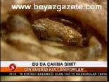Bu Da Çakma Simit
