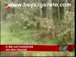 O Bir Hayvansever