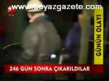 246 Gün Sonra Çıkartıldılar