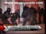 Organ Çetesine Operasyon