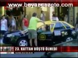 23. Kattan Düştü Ölmedi