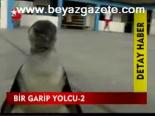 Bir Garip Yolcu -2