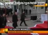 'siz Eşkiya Mısınız?'
