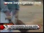 Gökyüzünden Ölü Kuş Yağdı