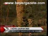 Köye Leopar İndi