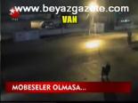 Mobeseler Olmasa...