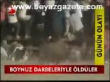 Boynuz Darbeleriyle Öldüler