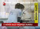 5 Minik Kalp Peşpeşe Durdu