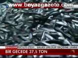 Bir Gecede 37.5 Ton