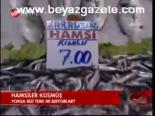 Hamsiler Küsmüş