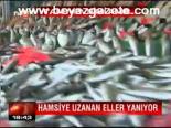 Hamsiye Uzanan Eller Yanıyor