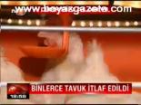 Binlerce Tavuk İtlaf Edildi