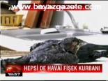 Hepsi De Havai Fişek Kurbanı