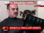 Adaşıyla Tahlilleri Karıştı