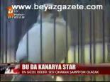 Bu Da Kanarya Star