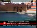 Önce Kortu Sonra Sevdi