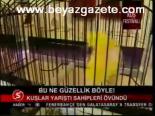 Bu Ne Güzellik Böyle!
