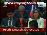 Meclis Bahçesi Stüdyo Oldu